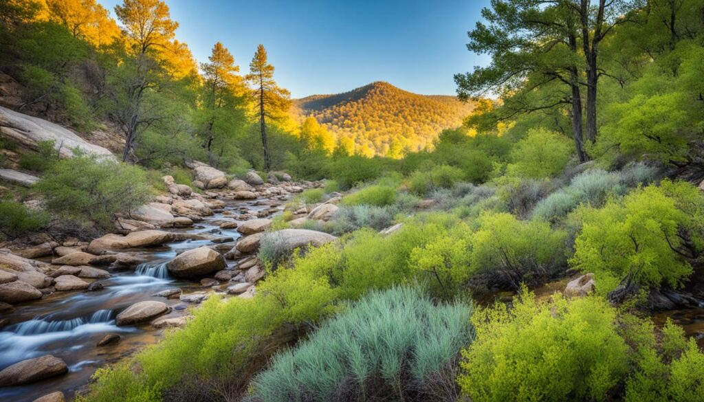 Cedar Mountain Preserve